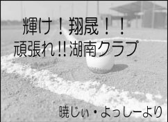 画像の説明