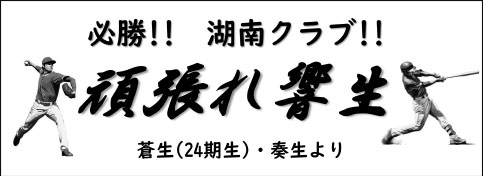 画像の説明